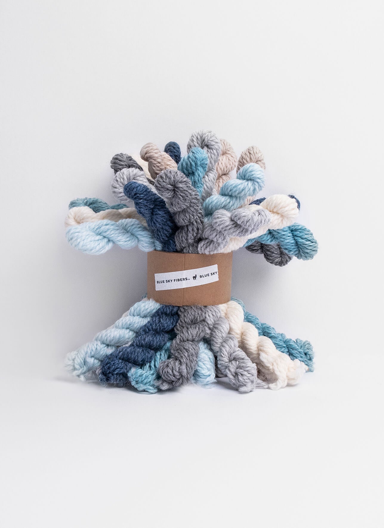 Woolstok Bundle from Blue Sky Fibers