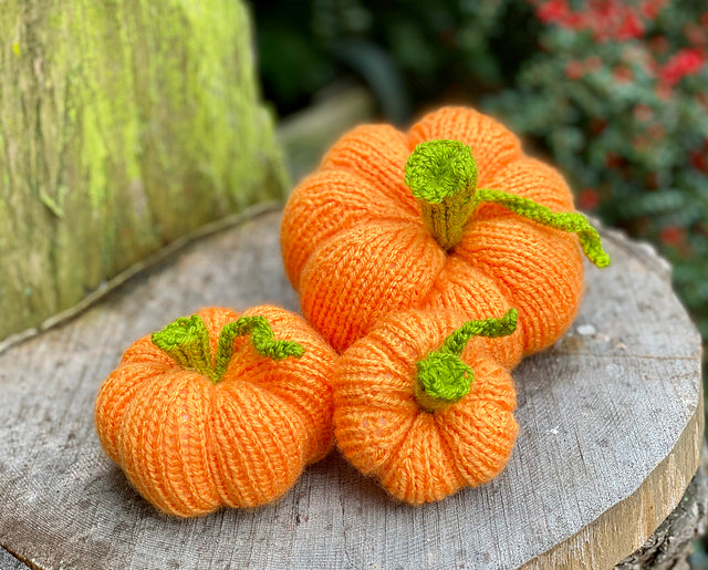 Pumpkin Workshop